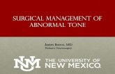 SURGICAL MANAGEMENT OF abnormal tone...• James Botros, MD and Barbara Bell, NP, Neurosurgery • John Phillips, MD, Neurology • Denise Taylor, MD, PM&R • Angela Kouri, PT •
