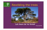 Rewilding the trees - Ecovillage Findhorn...Why do we seem to consider trees only as part the forest? ! Because, where trees can grow the forest is commonly considered as the natural