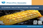 CORN NUTRITION GUIDE - Pacific Seeds · 2020. 10. 1. · CORN HYBRIDS CORN NUTRITION Corn is recognised as a high yield crop provided optimum crop management is used. Yield potential