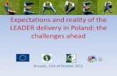 Expectations and reality of the LEADER delivery in Poland: the challenges ahead …enrd.ec.europa.eu/enrd-static/fms/pdf/54EB3827-EBC9-5F98... · 2012. 10. 12. · 1-8 employees per
