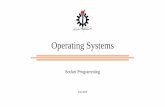 Operating Systems · 2020. 11. 29. · • AF_INET IPv4 • AF_INET IPv6 • AF_UNIX local socket •type • SOCK_STREAM • SOCK_DGRAM •protocol-> explicitly specifies the protocols,
