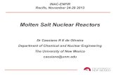 Molten Salt Nuclear Reactors · 2013. 12. 3. · Molten Salt Reactors Safety Inherent safety, understandable to the public Hard to even imagine accidents hazardous to the public Reduced