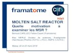 MOLTEN SALT REACTORirfu.cea.fr/Meetings/seminaires-MSR/2_Motivation MSR... · 2018. 3. 29. · Reactors with solid fuel where molten salts are the coolant: this allows to operate
