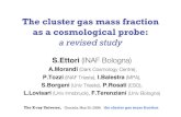The cluster gas mass fraction as a cosmological probe · 2016. 8. 3. · The X-ray Universe, Granada, May 29, 2008: the cluster gas mass fraction Gas mass fraction We combine a dynamical