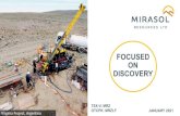 FOCUSED ON DISCOVERY...Economic Geology Over than 20 years of experience in mineral exploration especially in Latin America John Tognetti Director Over 30 years of experience in the