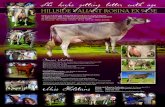 Rosinas Accolades - Miss Holsteins · Rosinas Accolades • Reserve Senior Champion Cow and Best Udder of Show Toowoomba Royal 2007 • Senior Champion Cow and Best Udder of Show