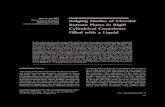 Marco Amabili Bulging Modes of Circulardownloads.hindawi.com/journals/sv/1997/815710.pdf · 2019. 8. 1. · Marco Amabili Department of Mechanics University of Ancona Ancona 60131,