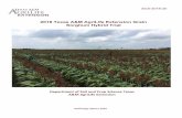 2018 Texas A&M AgriLife Extension Grain Sorghum Hybrid Trialpublications.tamu.edu/CORN_SORGHUM/2018-GrainSorghumHybridTrialReport.pdfSan Patricio County Department of Soil and Crop