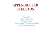 APPENDICULAR SKELETON - courseware.cutm.ac.incourseware.cutm.ac.in/.../06/appendicularskeleton... · APPENDICULAR SKELETON •The appendicular skeleton consists of : •126 bones