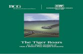 The Tiger Roars - Boston Consulting Group · 2020. 1. 3. · The Tiger Roars: An In–Depth Analysis of How a Billion Plus People Consume 5 I ndia is a large and growing consumer