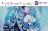Mobile Money in Jamaica - CEPAL...3 Mobile Money Vs Mobile Wallet •Mobile money is digitized cash made further accessible on mobile devices •No different from money held at a bank
