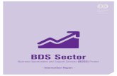 BDS Sector - International Labour Organization...IADE and BOSS project support, as well as reflecting on initial reported outcomes and impact from IADE clients. Client responses on
