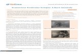 Transverse Testicular Ectopia: A Rare Anomalymedcraveonline.com/JPNC/JPNC-01-00012.pdf · 2018. 6. 3. · 13.Tolete-Velcek F, Bernstein MO, Hansbrough F (1988) Crossed . testicular