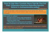 Claws So High Other Crawdads Wanna Fight Me (That Fish ......Anna Fimmel Reed College Bio342 Do crayfish fight better in water temperatures they are more familiar with? Although crayfish