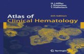 H. Lo¨ffler · 2016. 6. 28. · travascular large B-cell lymphoma, the liver-spleen T-cell lymphoma as well as persistent polyclonal B-cell lymphocytosis, which is placed between