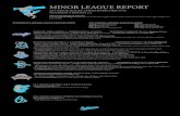 MINOR LEAGUE REPORT · 2020. 4. 20. · * The Shorebirds and RiverDogs will finish their four-game series tonight starting at 7:05 p.m. * The Aberdeen IronBirds will begin their season