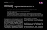 Research Article Modification of Phospholipid Bilayers ... · Modification of Phospholipid Bilayers Induced by Sulfurated Naphthoquinones ClaudioDiVitta, 1 LilianaMarzorati, 1 andSérgioS.Funari