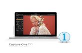 Capture One 11 - Mega Pixels Digital · All run modes are included in the one installer and the run mode is determined by the license key used. The trial is also included in the installer