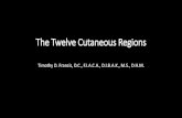 The Twelve Cutaneous Regions - Dr Timothy Francis · 2016. 11. 1. · Traditional acupuncture diagnosis includes observation and palpation of the skin. The cutaneous regions represent