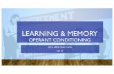 LEARNING & MEMORY · 2018. 10. 6. · 170 | CHAPTER 5 Learning Module OPERANT CONDITIONING Free-Operant Learning Chapter 1 introduced B. F. Skinner as the “radical behaviorist.”