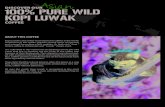 Asian 100% PURE WILD KOPI LUWAK · 2020. 11. 15. · 100% PURE WILD KOPI LUWAK ABOUT THIS COFFEE Kopi Luwak is one of the most expensive coffees in the world. Production of this coffee