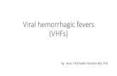 Viral hemorrhagic fevers (VHFs) - JU Medicine...•Dengue Hemorrhagic Fever (DHF)/ Fatality: 5-6% • Dengue Shock Syndrome (DSS) /Fatality 12-44% •Four distinct serotypes •DEN-1,