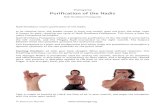 Pranayama Purifcation of the Nadis · 2020. 3. 20. · the left nostril), and the Pingala Nadi (connected to the right nostril). The balance between these two polarities activates
