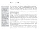 Tree Fruits2015/12/03  · For peaches, Lovell and Bailey are acceptable rootstocks wherever peaches can be grown in New York and produce 12- to 15-foot-tall trees. Plum and prune