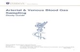 Arterial & Venous Blood Gas Sampling2019/04/23  · • To have an awareness of the difference between ABG and VBG interpretation 6 Introduction This study guide will look at taking