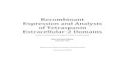Recombinant Expression and Analysis of Tetraspanin ...etheses.whiterose.ac.uk/12010/1/J. Palmer thesis...Recombinant Expression and Analysis of Tetraspanin Extracellular-2 Domains