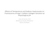 Effects of Temperature and Sodium Hyaluronate on ......Effects of Temperature and Sodium Hyaluronate on Fluorescence of type I Calfskin Collagen Solutions at Physiological pH Julian