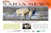 Published by the Saiga Conservation Alliance Winter 2011 ...€¦ · Two new collaborating organisations signed the MOU; the Saiga Conservation Alliance and the Association for the