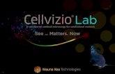 See Matters!Now - accela · 2015. 8. 12. · Cellvizio® LAB 2005 Cellvizio®GI, Cellvizio®LUNG #$$$!-!#$%$!&!a!decade!of!innovation 2011 200 Cellvizio® in 15 countries 2 2011 FDA,