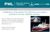 Validation of Sentinel-3A OLCI ocean colour products in the … · 2019. 11. 6. · Validation of Sentinel-3A OLCI ocean colour products in the Atlantic Ocean. Gavin Tilstone, Silvia