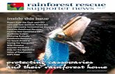 rainforest rescue supporter news no 17. · 2019. 9. 29. · 04 rainforest rescue supporter news - no. 17 our new cassowary conservation reserve Rainforest Rescue has purchased its