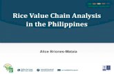 Rice Value Chain Analysis in the Philippines ·