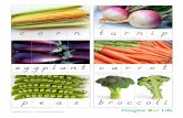 corn - Imagine Our Life › printables › Puzzle-FruitsVeggies.pdf© Michel Chauvet / Wikimedia Commons / CC-BY-SA-3.0 Imagine Our Life :: turnip © thebittenword.com / Wikimedia