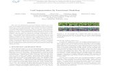 Leaf Segmentation by Functional Modeling · 2019. 6. 10. · Leaf Segmentation By Functional Modeling Yuhao Chen Sriram Baireddy Enyu Cai Changye Yang Edward J. Delp Video and Image