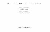 Pomeron Physics and QCD - Assetsassets.cambridge.org/052178/039X/sample/052178039XWS.pdf · 2003. 4. 4. · Contents Preface ix 1 Properties of the S-matrix 1 1.1 Kinematics 1 1.2