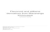 trichocarpa derivatives from Macaranga Flavonoid and stilbenerepository.unair.ac.id/90965/4/C.03_Similarity.pdfRukachaisirikul, V.. "Phloroglucinols, depsidones and xanthones from