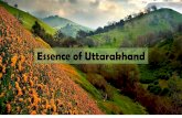 Essence of Uttarakhand