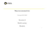 Session 6 Multivariate Models - Freeboucher.univ.free.fr/publis/cours/2012/Macroeconometrics... · 2012. 10. 13. · Session 6 Multivariate Models. Macroeconometrics ... • Rearranging