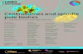 Centrosomes and spindle pole bodiesCentrosomes and spindle pole bodies 06 – 09 September 2020 | Copenhagen, Denmark SPEAKERS Alice Meunier Ecole Normale Supérieure, FR Andrew Goryachev