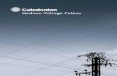 Medium Voltage Cables...Caledonian Medium Voltage Cables Insulation This will be an extruded layer of XLPE or EPR applied over conductor screen under triple extrusion process along