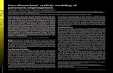 Four-dimensional realistic modeling of pancreatic …Four-dimensional realistic modeling of pancreatic organogenesis Yaki Settya,b, Irun R. Cohenc, Yuval Dord, and David Harelb,1 aComputational