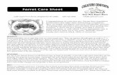 FerretCareSheet!!ccpetstore.com/editor_files/Ferret.pdfA ferret can live singly, provided it receives ample attention, or with others. Given appropriate care, a ferret will live from