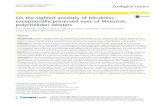 On the sighted ancestry of blindness – exceptionally preserved … · 2017. 8. 29. · RESEARCH ARTICLE Open Access On the sighted ancestry of blindness – exceptionally preserved