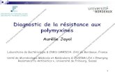 Diagnostic de la résistance aux polymyxines · Antibiogramme. Négatif Positif Effet inoculum Lecture à 24h et 48h Souche sensible à la colistine Suspicion de résistance à la