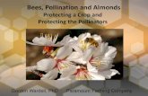 Bees, Pollination and AlmondsBees, Pollination and Almonds Protecting a Crop and Protecting the Pollinators Gordon Wardell, PhD Paramount Farming Company