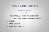 IRISH RARE BREEDSirishrarebreedsconference.ie/wp...Irish-Rare-Breeds... · Old Irish hog extinct Graded up to improved breeds from Britain The Tamworth pig ased on Irish grazers and